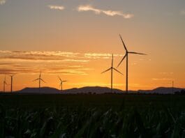 Procedura uzyskania koncesji na sprzedaż energii z fotowoltaiki