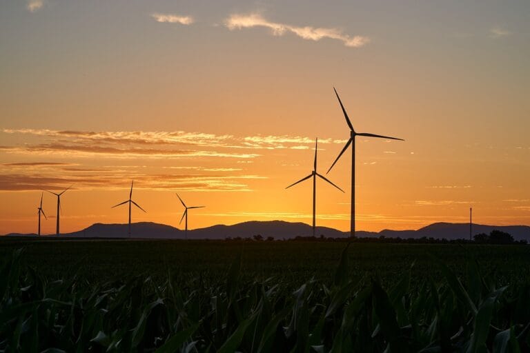 Energia odnawialna a walka z globalnym ociepleniem